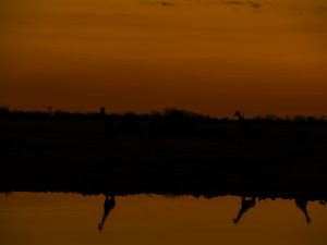 Namibie