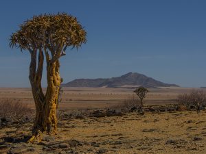 Namibie