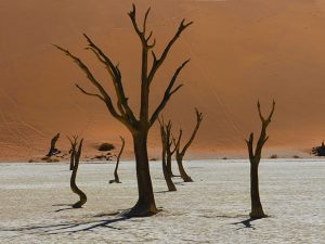 Namibie