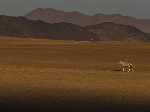 Namibie