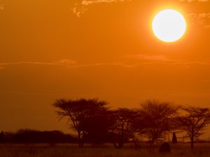 Namibie
