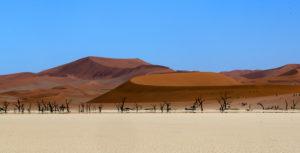 désert du Namib , pays Namibie ,