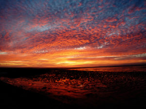 PAYSAGES DES MARAIS BRETON