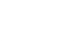 Robby Focus Nature