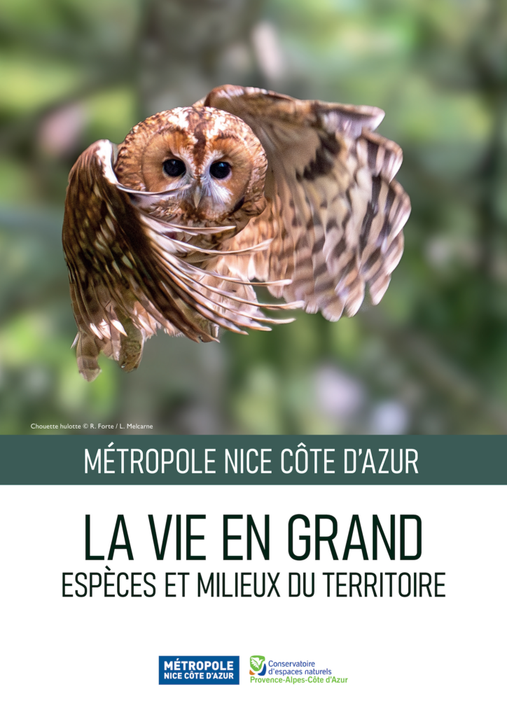 Photo réalisée par Robby et Lucas Melcarne
